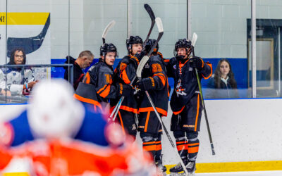 Home Heartbreak in 3rd Period Hemorrhage